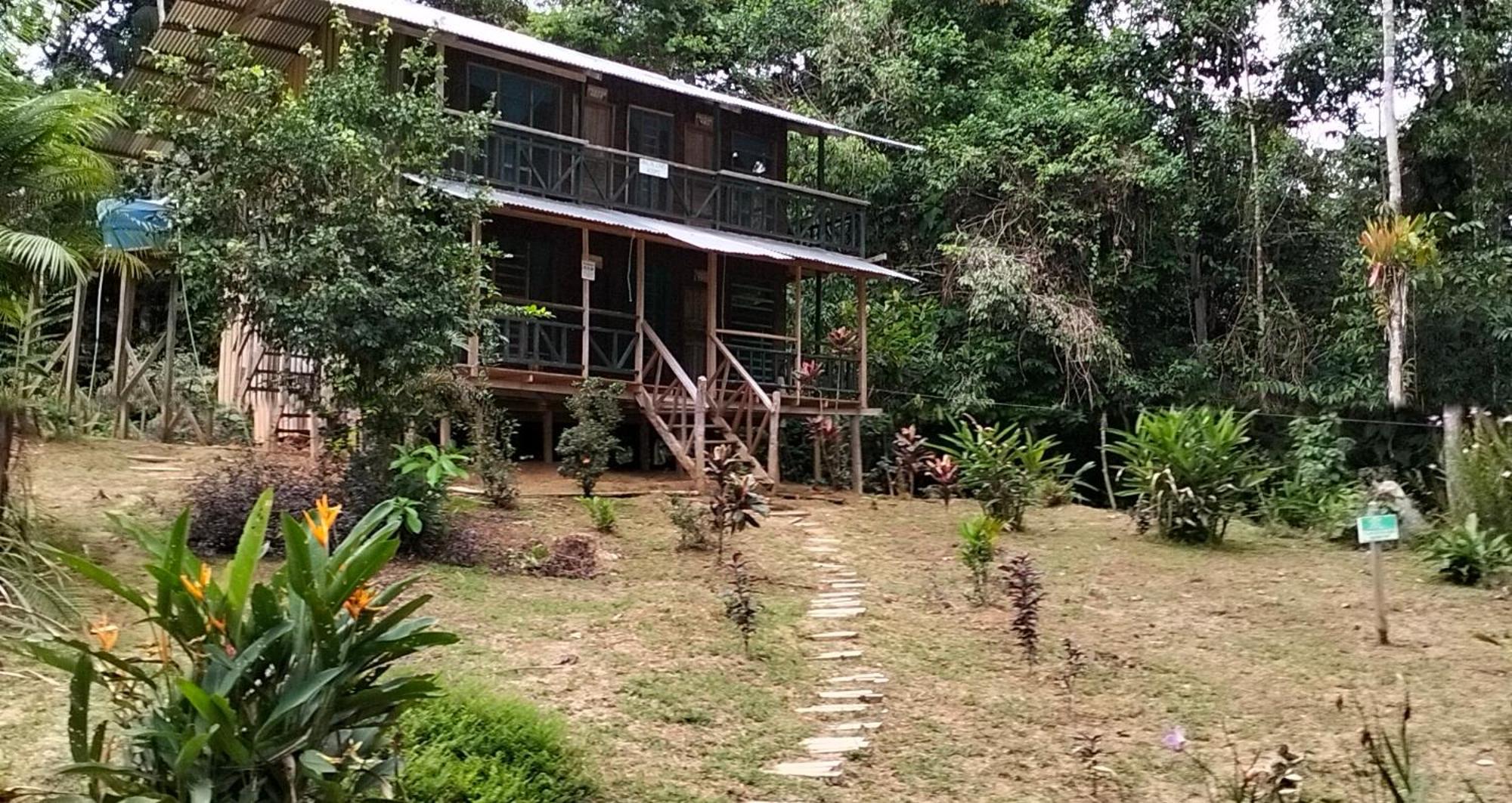 Cabanas Eco Logicas Mu'Ue Loreto Mocagua Εξωτερικό φωτογραφία